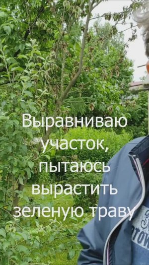 Выравниваю участок, пытаюсь вырастить зеленую траву