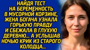 Найдя тест на беременность в мусорной корзине, жена богача узнала горькую правду и сбежала в глухую.