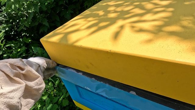 2025-06-21 Пчёлы. Карника. Распределяю маточники 2 из 3.