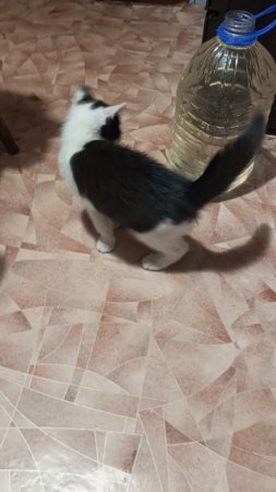 Тимка пьет из баклажки