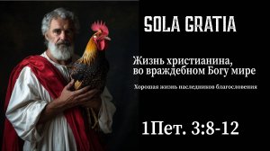 Жизнь христианина, во враждебном Богу мире Часть 4 (1Пет. 3:8-12) | ЦЕРКОВЬ SOLA GRATIA