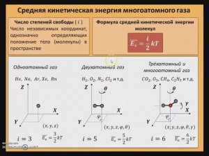 Рассмотрение темы: "Средняя кинетическая энергия многоатомного газа. Число степеней свободы" #физика