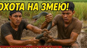 ГИГАНТСКАЯ ЗМЕЯ В НОРЕ! Нашли её в рисовом поле и вытащили руками