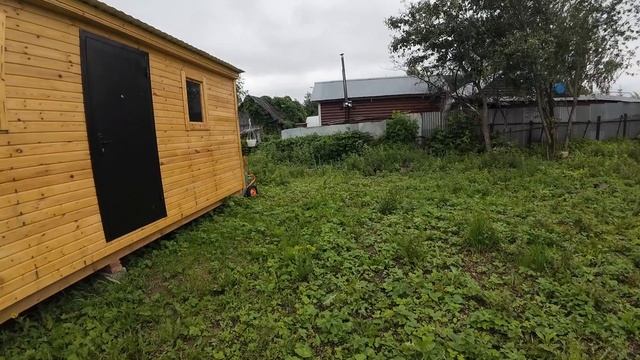 21-06-2025 Приехала на дачу, обзор участка