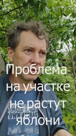 Почему на участке не растут яблони-подскажите