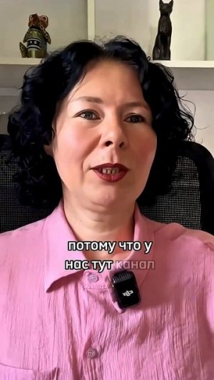 Из чего состоит нервная система?