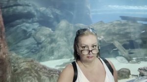 Отдых Сочи) Едем в Адлер в Океанариум Sochi Discovery World Aquarium)))