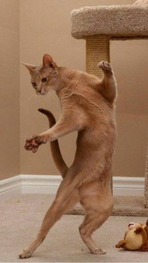 Делаем гимнастику вместе