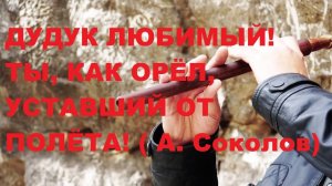 ДУДУК ЛЮБИМЫЙ! ТЫ , КАК ОРЁЛ, УСТАВШИЙ ОТ ПОЛЁТА! Автор стиха А . Соколов. Автор ролика В. Голикова.