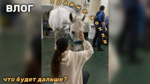 ВЛОГ | ТРАВМА КЕННИ | ЧТО БУДЕТ ДАЛЬШЕ?