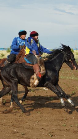 Жестокий спорт в Казахстане с козлом! В шоке все туристы из России
