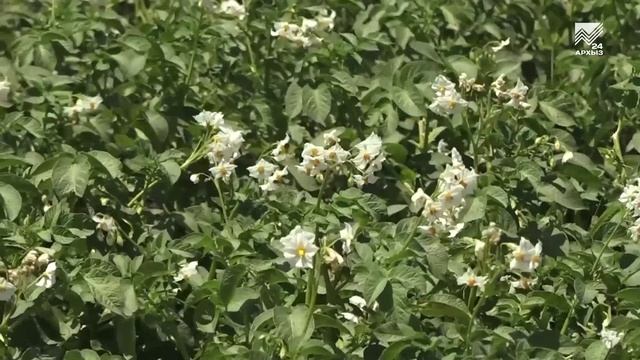 События дня (20.06.2025)