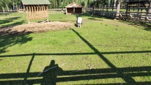 Биостанция Лосиный остров