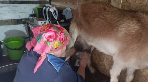 Бабы деревенские...