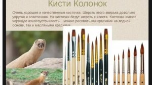 Из чего изготавливают кисти?