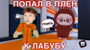 Я ПОПАЛ В ТЮРЬМУ ЛАБУБУ