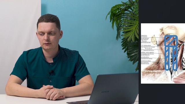 Развитие контроля головы