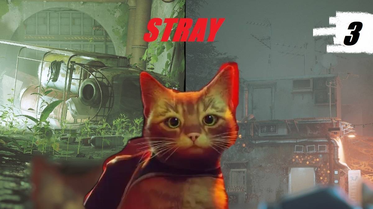STRAY😿СВЯЗАЛСЯ С ДРУЗЬЯМИ🖥️НАШЛИ СЕКРЕТНУЮ ЛАБОРАТОРИЮ ОТЦА🧪СБЕЖАЛ ПО КАНАЛИЗАЦИИ🚽часть 3