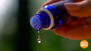 Лаванда против комаров. Доброе утро. Суббота. Фрагмент выпуска от 21.06.2025