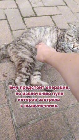 ‼️ПОМОГИТЕ‼️
Вокруг столько нелюдей. 
Нужна помощь на операцию.