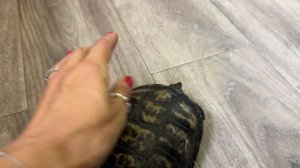 Сегодня работа в офисе