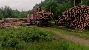 РОССТЕЛЕКОМ!
ПРИВЁЗ СТОЛБЫ, ПРОСТОЯЛ НЕДЕЛЮ..... ВОЛЬВО НЕ ХОЧЕТ ГРУЗИТЬ