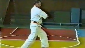 Каратэ Шотокан Роланда Хаберзецера - 1 часть