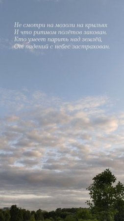 20.06.25 АЗ #ниднябезрифмы