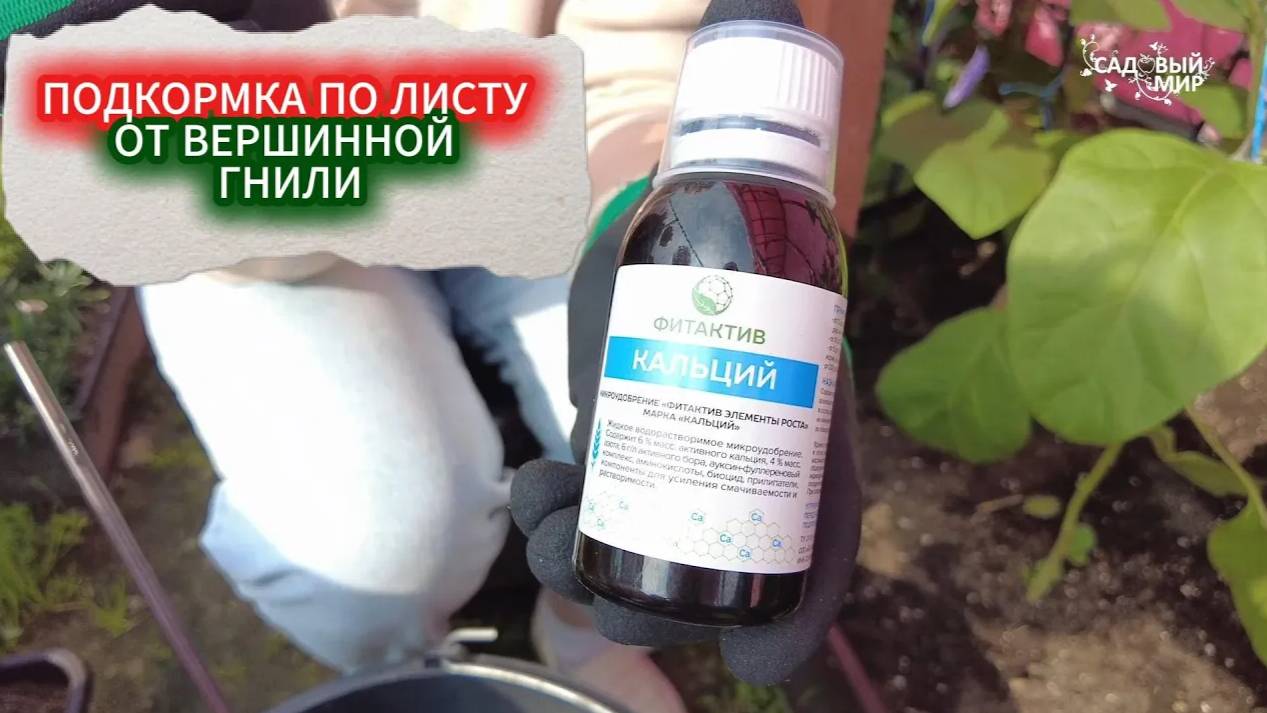91КАК Я ИЗБАВИЛАСЬ ОТ ВЕРШИННОЙ ГНИЛИ НАВСЕГДА - МОЯ СИСТЕМА ПОДКОРМОК ПО ЛИСТУ БОРОМ И КАЛЬЦИЕМ