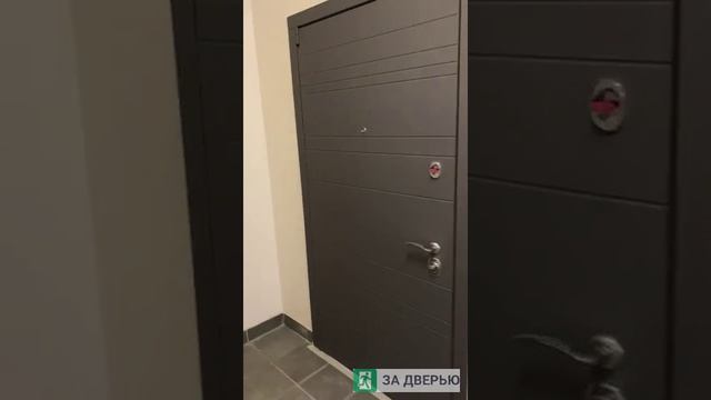 Обзор двери Броня С9
