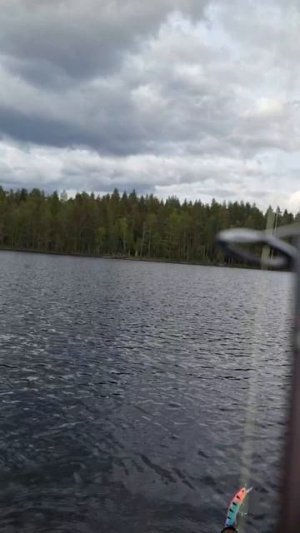 Михаилу, спасибо за отчёт 😎👍