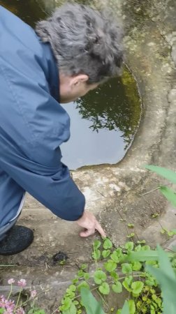 Пруд пошёл трещинами