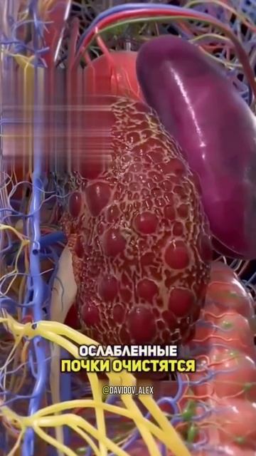 как похудеть без диет и спорта? #спорт #рецепт #зож #похудение #пп #нутрициолог #стресс #потерявеса