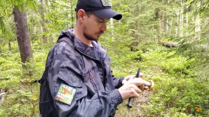 Клондайк подосиновиков! Грибники в шоке!  21.06.25