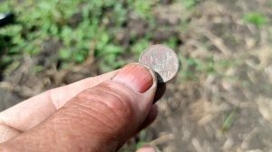 Коп на Подгоровке