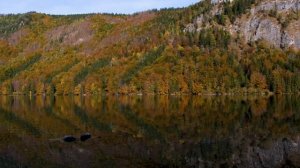 Краски осени 11