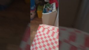 всем привет если понравится видео ставьте лайки подписывайтесь на канал и в топ ракету 🚀