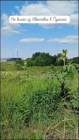 На великах по Подмосковью 21/6/25