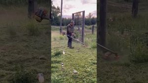 Косили траву. Пополнение бройлеров и перепелов