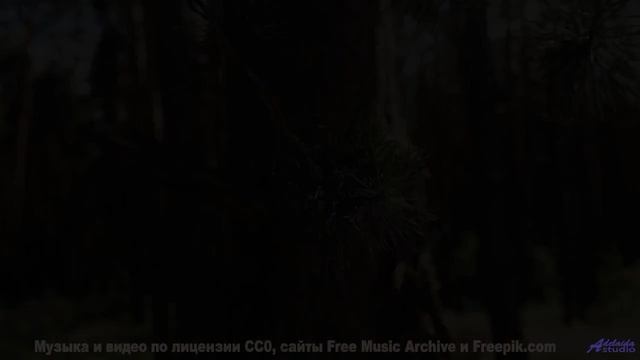 Когда музыка и природа создают что-то необъяснимое... - 420 -- Ketsa -- Equinox Rising