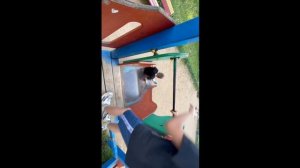 VID_20250621_153039_691.mp4.mov