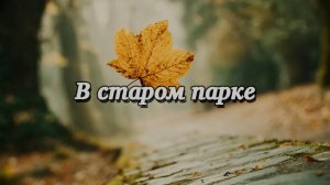 В старом парке. Новая песня новый клип от Шкатулка Музыканта Автор Ш. А #шкатулкамузыканта