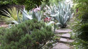 Маленькое счастье