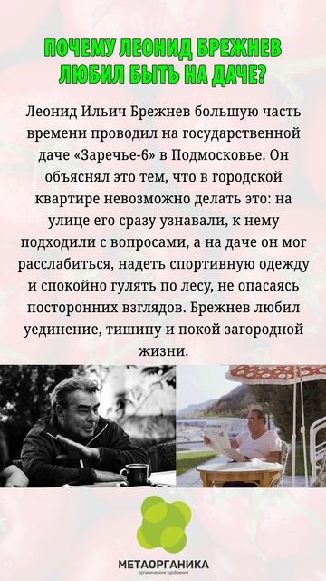 Почему Леонид Брежнев любил быть на даче