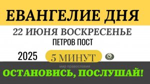 22 июня воскресенье Евангелие дня 2025 с толкованием #евангелие