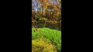 Очень красивое место 2024