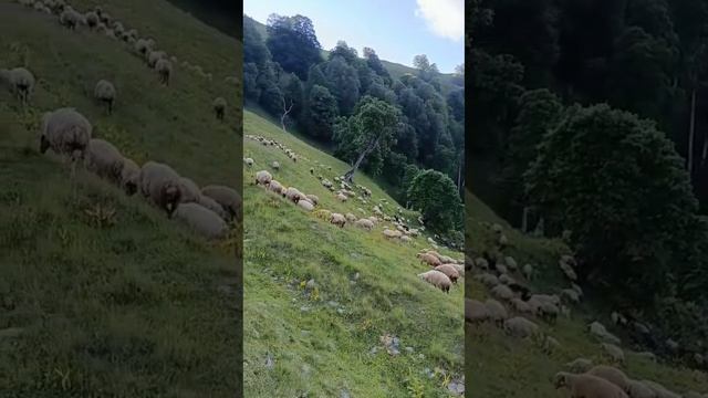 Разве это не красиво