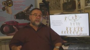 Как построить патриархальную семью при матриархате