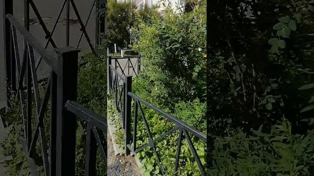 О чем мечтает влюбленный герой?