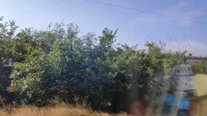 Едем домой в поезде 21.06.25.